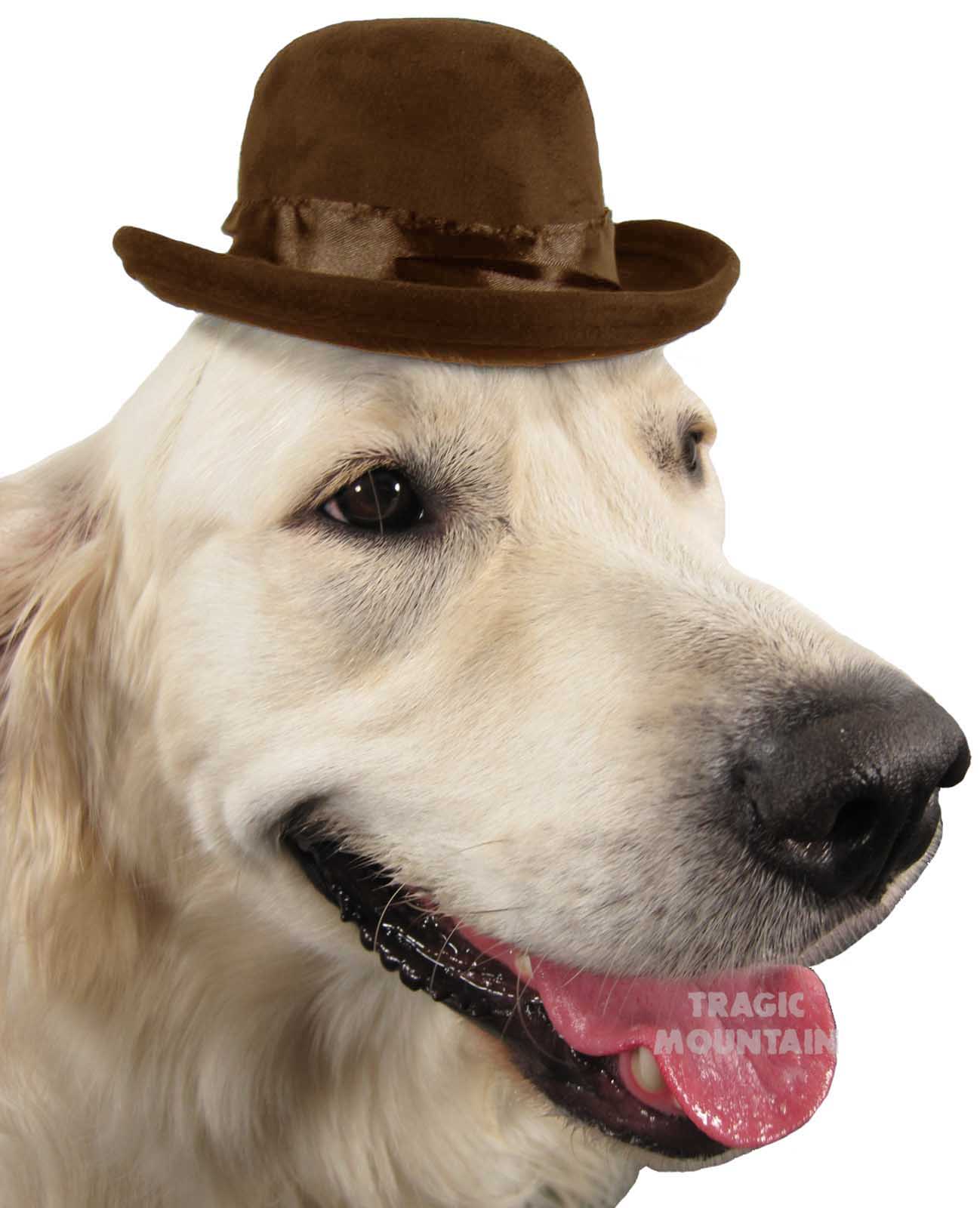 Small Bowler Hat Costume Blocked Pet Dog Elastic Strap Brown Western